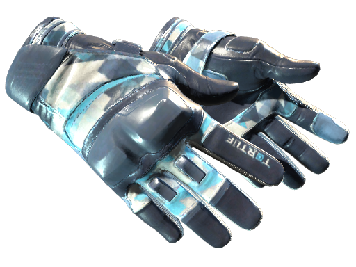 ★ Moto Gloves | Cool Mint (Factory New)