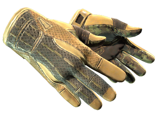 ★ Sport Gloves | Arid (Factory New)