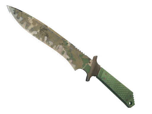 ★ Classic Knife | Forest DDPAT (Battle-Scarred)