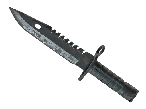 ★ M9 Bayonet | Night (Battle-Scarred)