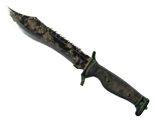 ★ Bowie Knife | Forest DDPAT (Battle-Scarred)
