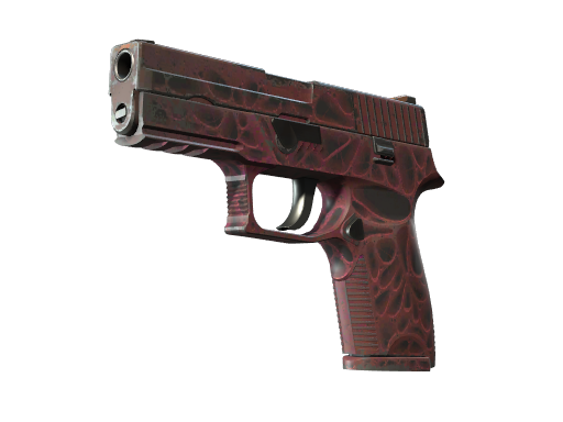 StatTrak™ P250 | Contaminant (Field-Tested)