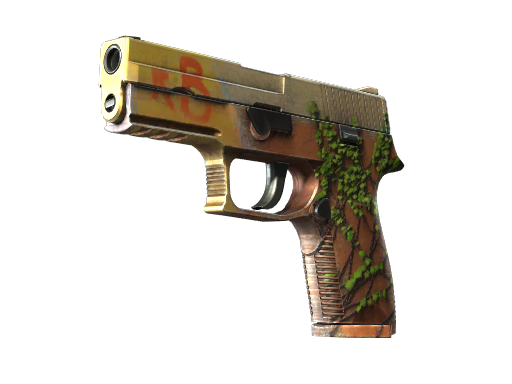 StatTrak™ P250 | Inferno (Factory New)