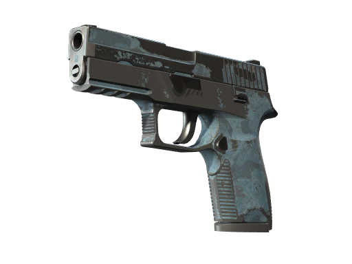 P250 | Forest Night (Battle-Scarred)