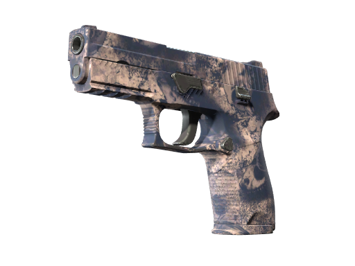 P250 | Drought (Factory New)